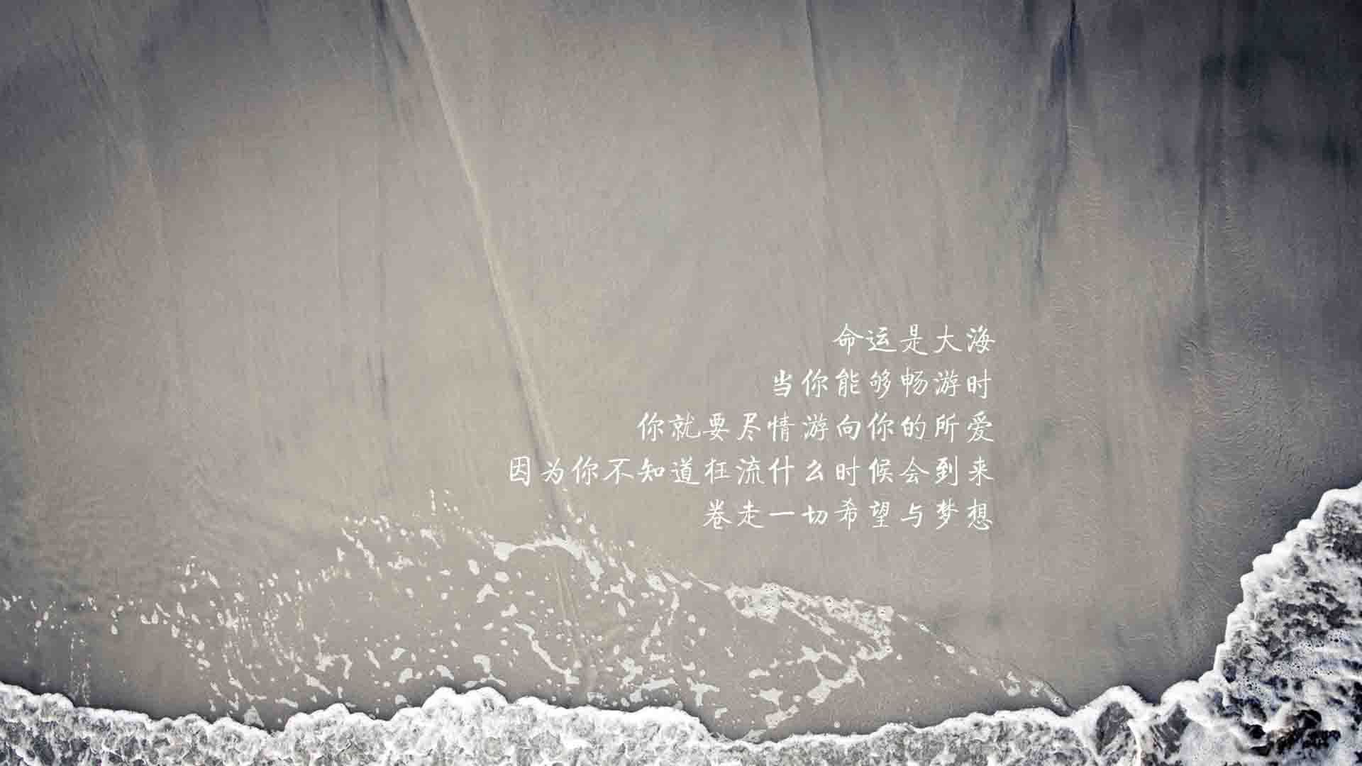Team Liquid发布战队重建计划,teamspirit战队队员
