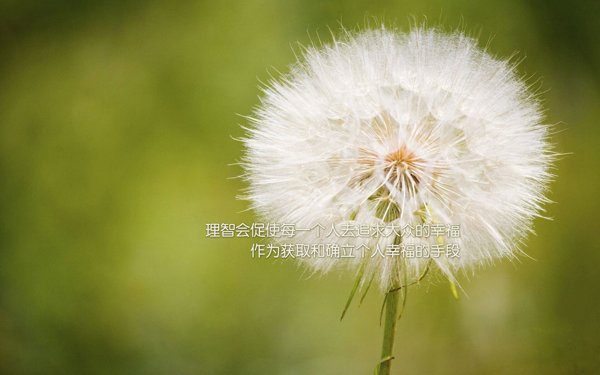 快船力克森林狼,季后赛首轮中乔治篮下统治全场,nba快船对森林狼