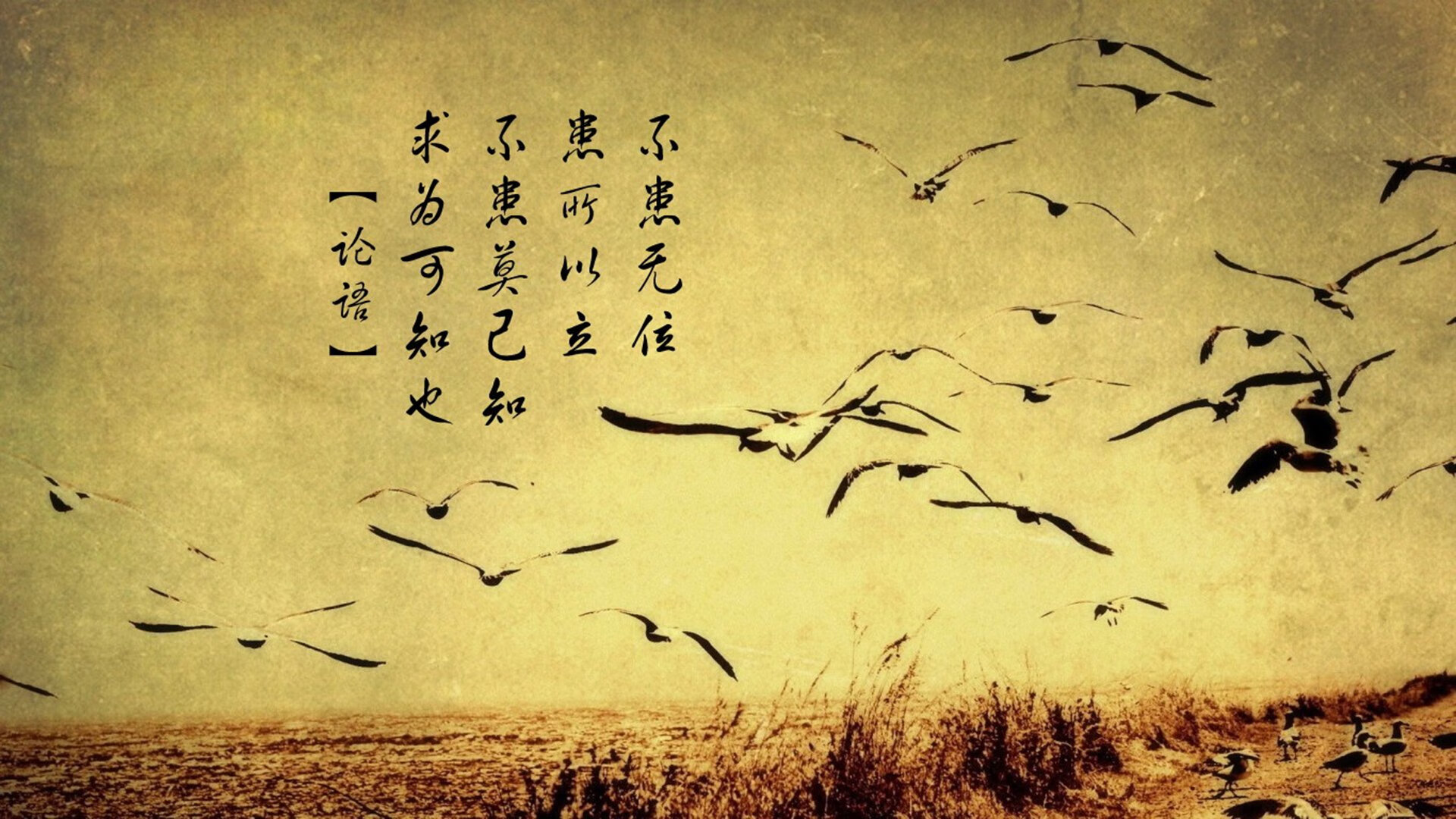 亚洲杯中国青年队晋级 球迷热切关注发展前景,足球亚洲杯中国队怎么样